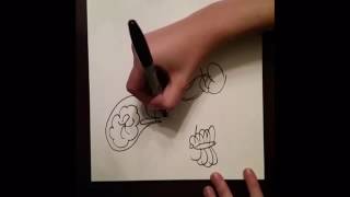 Chemoreceptors