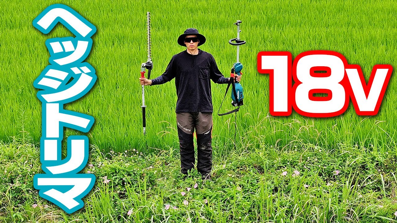 マキタ18vヘッジトリマー・スプリットモーター　草刈 軽量】18V仕様のマキタヘッジトリマで田んぼの草刈りしてみた