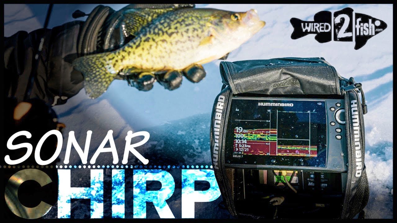Why CHIRP is the Best 2D Sonar for Ice Fishing 
