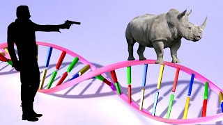 DNA Replication - EASY & FUN!