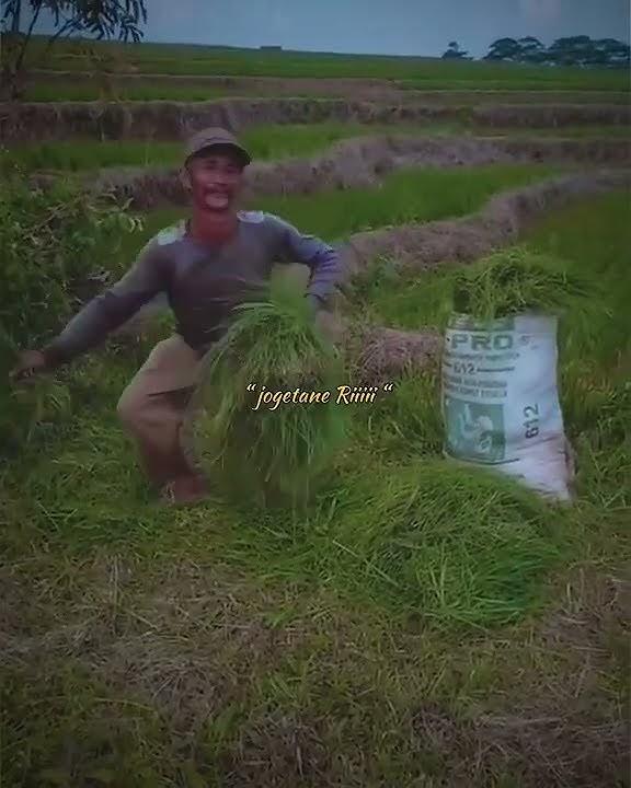 parodi jaranan safitri putro (tukang ngarit) #jaranan  #jarananndadi  #safitriputro