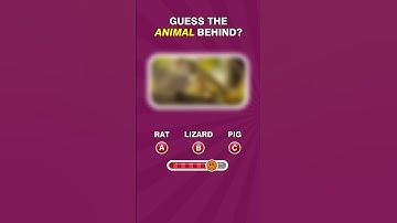 Challange No 239  | Flicktale #riddle #guess #games #puzzles #brainteasers #Challange #whatami