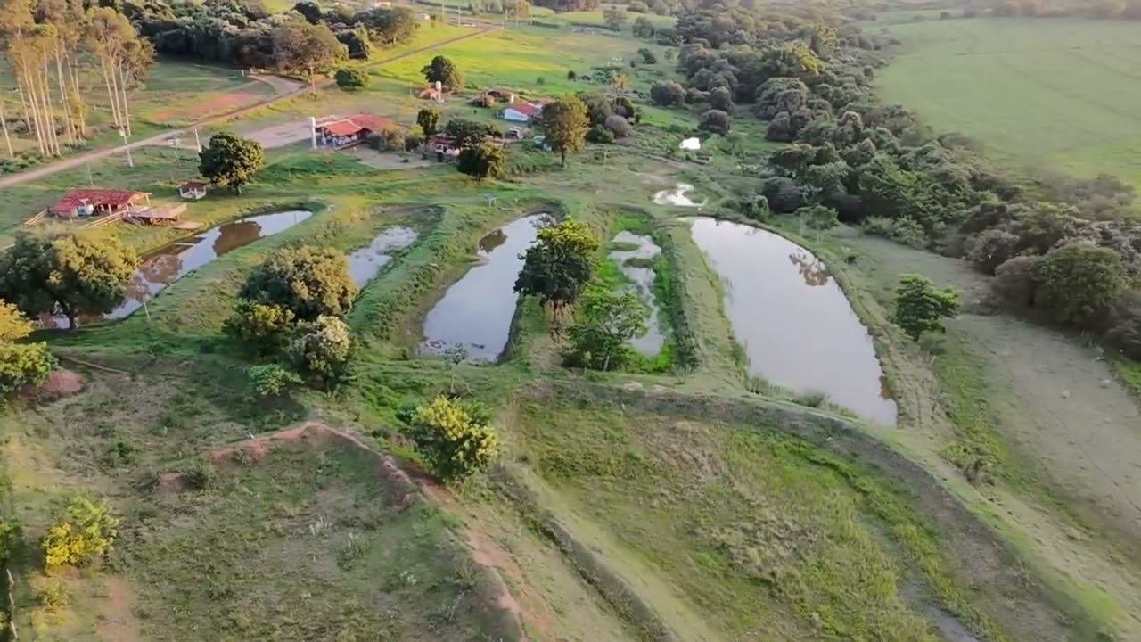 14 de fevereiro de 2026