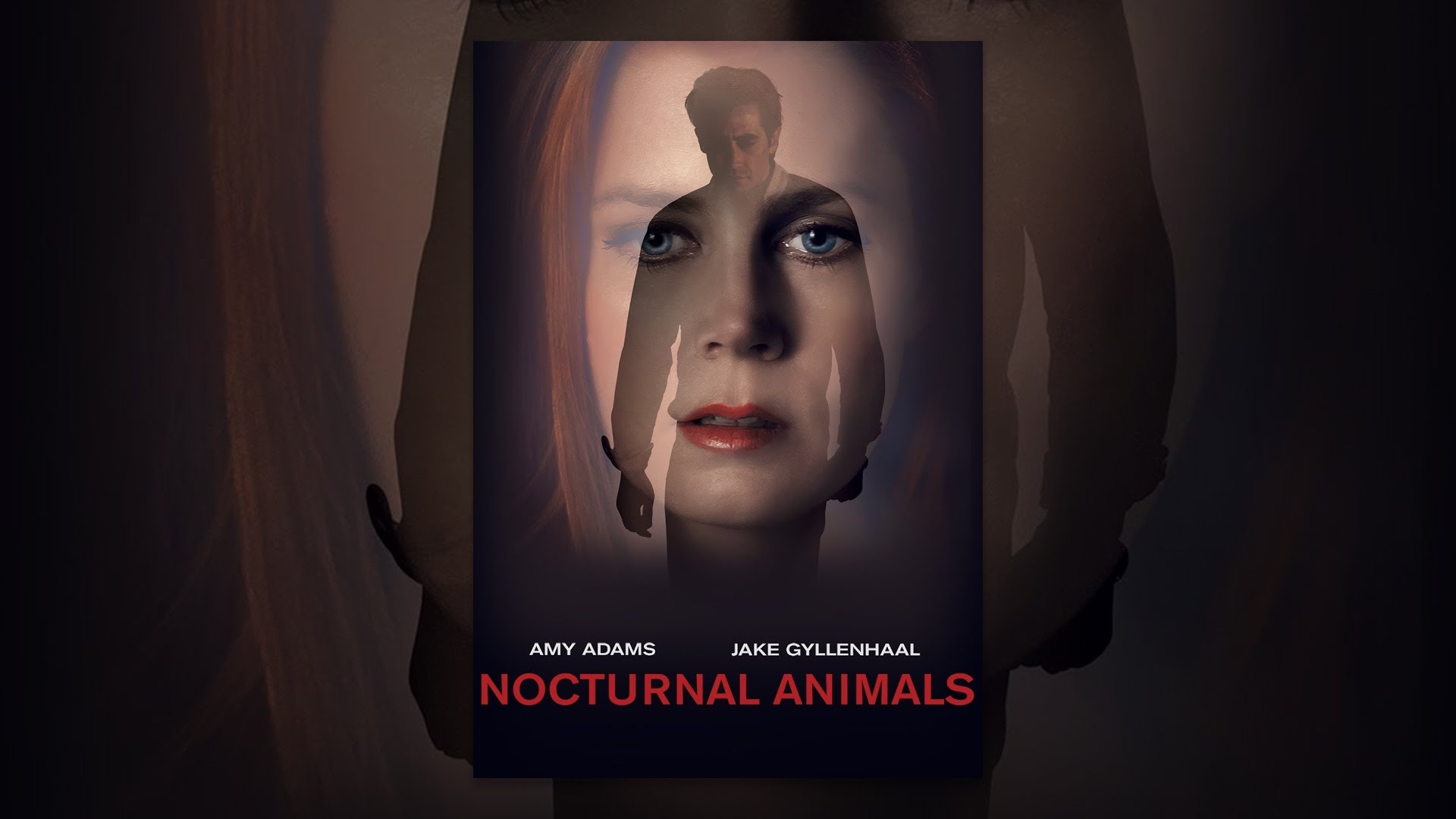 Nocturnal Animals - YouTube