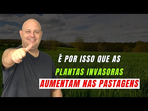 Vídeo: Guia de Plantas Invasivas - Informações sobre o Crescimento de Plantas Invasivas