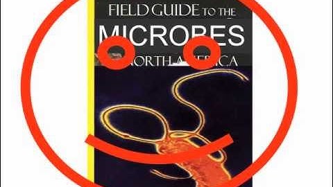 "All microbes all the time" - talk by Jonathan Eisen for Teen Biotech. Challenge Awards