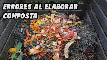 ¿Los restos de cebolla pueden ir al compost?