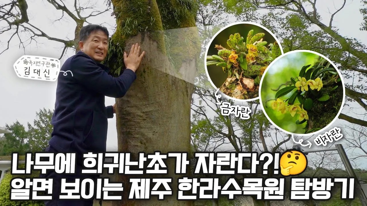 도심 속 정원, 한라수목원 A Garden in A Downtown | 정원의 발견 Wonders of Garden | KBS제주20240301방송