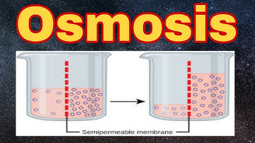 Osmosis Definition// Solutions of osmosis
