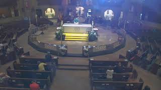 National Shrine of the Little Flower Livestream