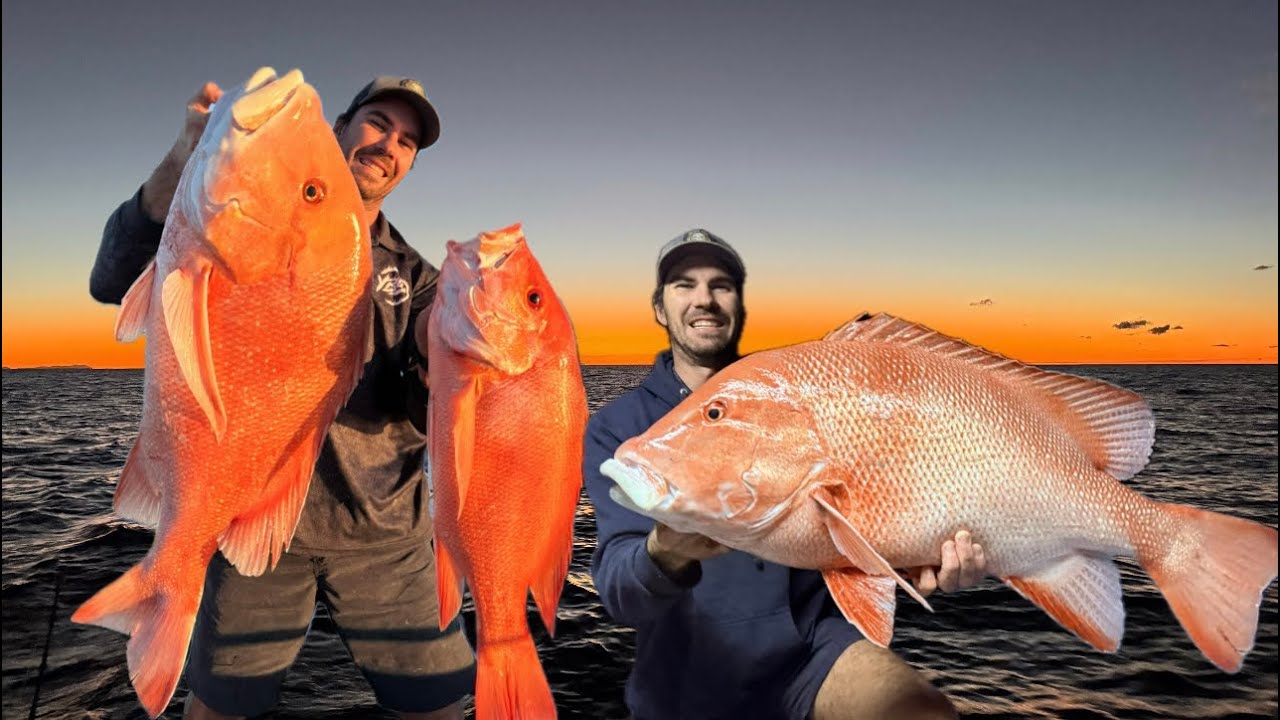 Catching MONSTER Red Emperor Off Hinchinbrook Island at night