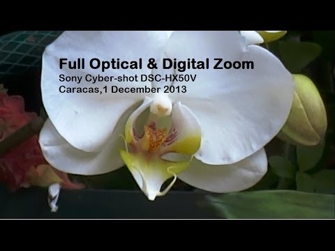Full Optical & Digital Zoom of Sony Cyber-shot DSC-HX50V