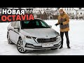 Что произошло с НОВОЙ Шкода ОКТАВИЯ 2020 и почему ОНА всё равно ЛУЧШАЯ?