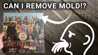 Quick Tips to Restore Vintage Album Covers - Cheaply!