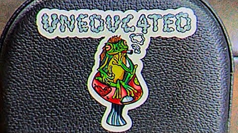 Garden Frog - UNEDUC4TED (Music Video)