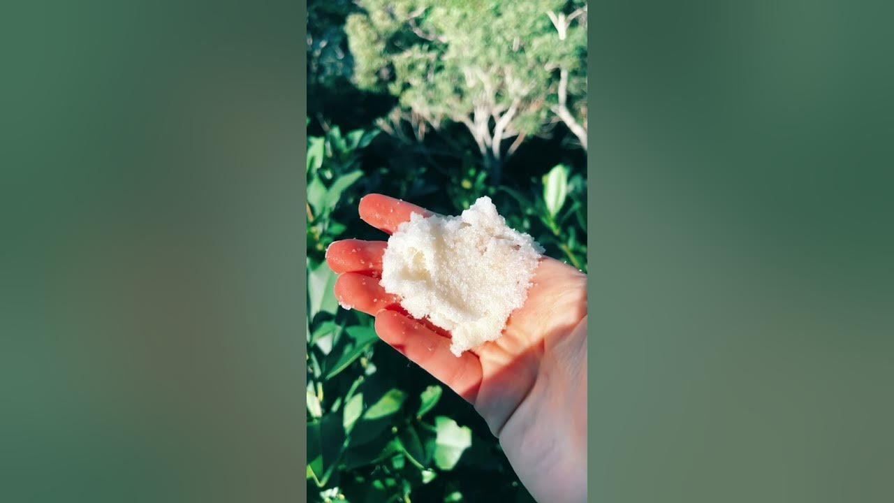 Making Body Scrub Tiktok xlifestyle randomx YouTube