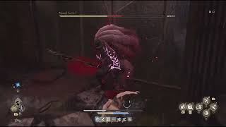 CODE VEIN II - Mutated Sentinel (No Damage)