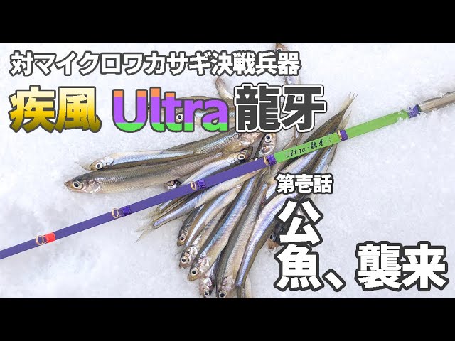 疾風　ワカサギ穂先　Ultra龍牙