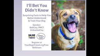 I’ll Bet You Didn’t Know – Surprising Facts to Help You Better Understand & Train Your Dog  1/30/21