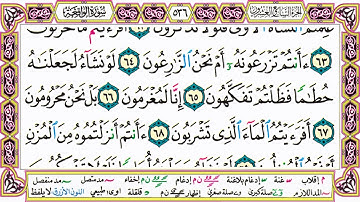 ألقران الكريم حاتم فريد الواعر الصفحة 536