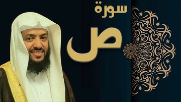 سورة ص - الشيخ وديع اليمني