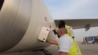 Getting Our Maxs Ready To Flydubai