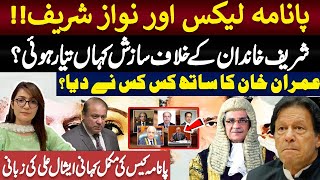 Panama Papers international conspiracy against Nawaz Sharif Who was Behind Imran Khan