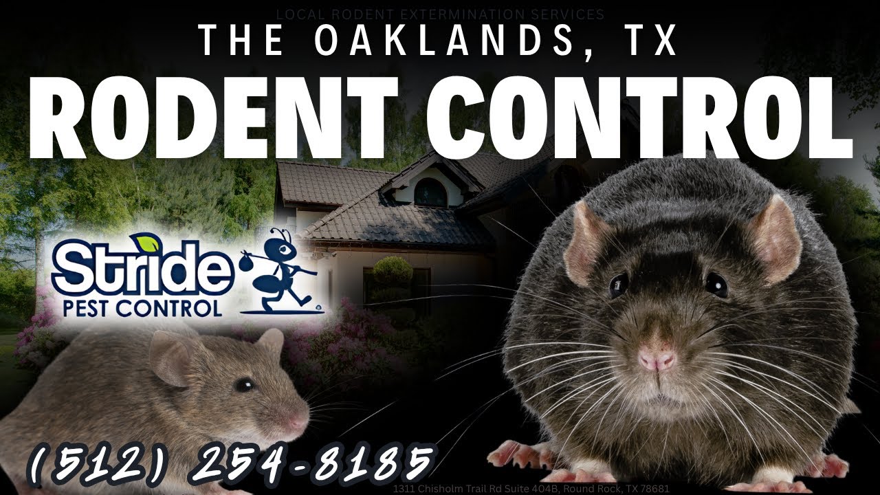 Rodent Control Round Rock Tx