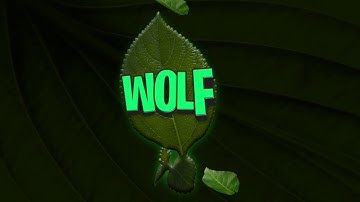 Braz intro remake (leafsukis intro) Android bad? New main intro (2D remake)