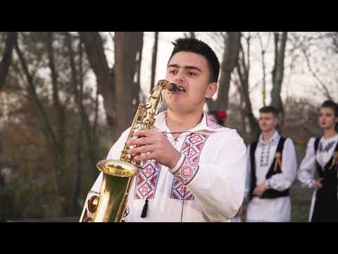 Razvan Gancea - Ardelene din Tara Zarandului