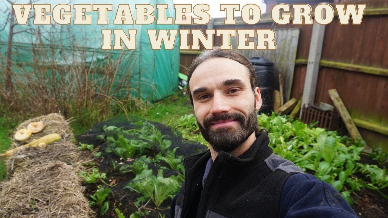 10 hardy crops to grow in Winter in cold climates Frost hardy