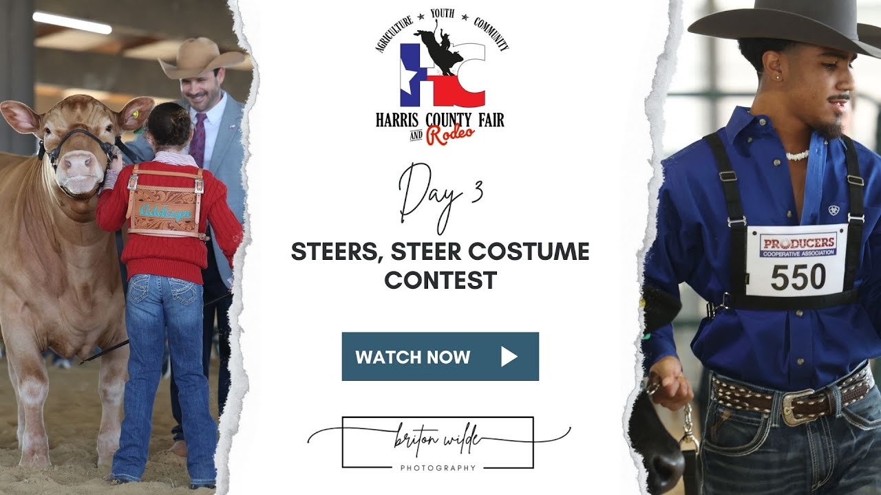 Harris County Fair and Rodeo 2023 Market Steers, Steer Costume