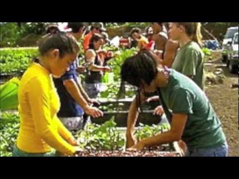 Kupu - CommunityU Program