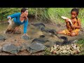 Catch many turtle&amp; fish in flood forest- Cooking turtle with water coconut &amp; grilled fish for dinner