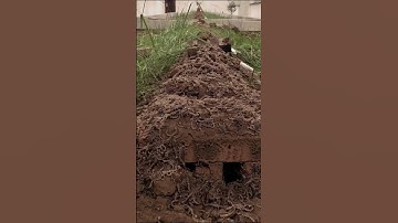 عذاب قبر - عذاب القبر - دلیل اینکه هر شب سوره الملک را بخوانید.
