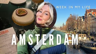 a chaotic week in my life as a student in Amsterdam