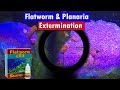 flatworm exit Review - Planaria and flatworm removal from your reef aquarium