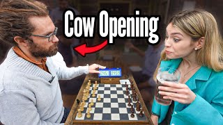 Opponent Plays THE COW OPENING In Official Chess Tournament by Anna Cramling 189,566 views 2 months ago 17 minutes