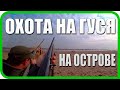 КАК ОХОТЯТСЯ НА ГУСЯ НА ВОЛГЕ. НАСТРЕЛЯЛИ КУЧУ ПТИЦЫ!