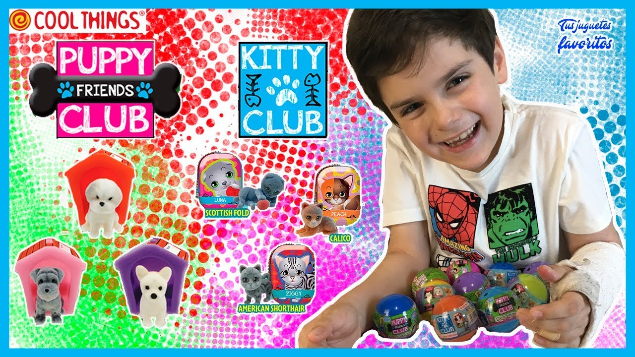 PUPPY CLUB FRIENDS Y KITTY CLUB |BOLAS SOPRESA COOL THINGS | TUS JUGUETES  FAVORITOS - YouTube