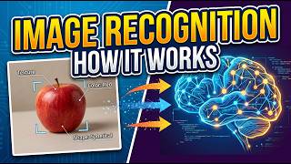 How Image Recognition Works – Teaching Computers to See Without Eyes.