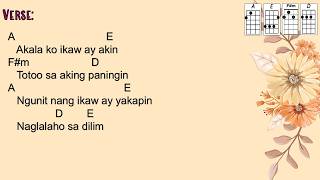 Miss Oli: Luha - Aegis - Key of A