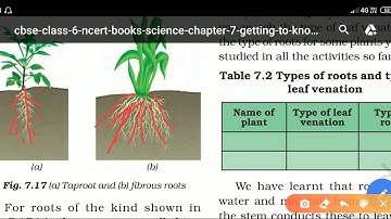 Class-6th [NCERT] Science Chapter-7 (Getting to Know Plants) Explained in Hindi......Part-2
