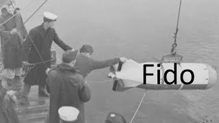 Secret Allied U-Boat Kill Store, Acoustic Homing Torpedos