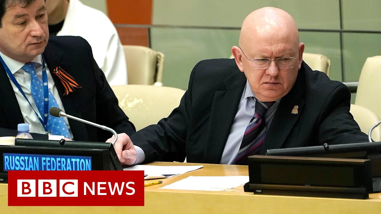 Russia UN ambassador walks out of security council meeting - BBC News