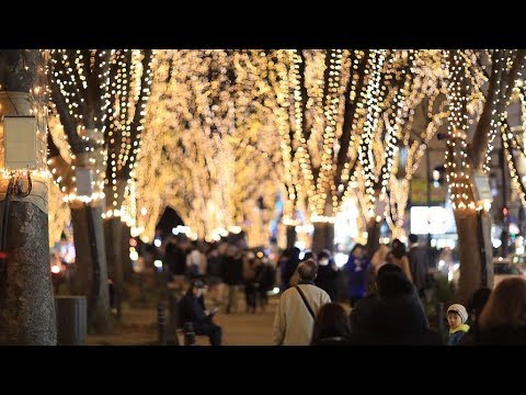 スターライトウィンク特集 17仙台sendai光のページェントsendai Pageant Of Starlight Youtube