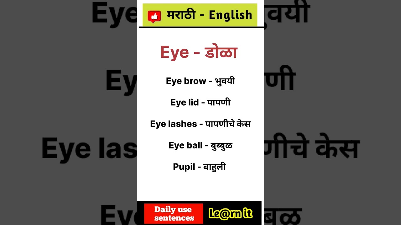 Eye part| English - Marathi
