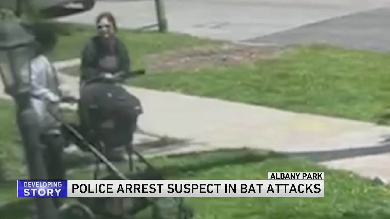 Woman in custody in connection with 6 baseball bat attacks on Northwest ...