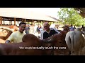 Lyra India Team Gathering @GovardhanEcovillage