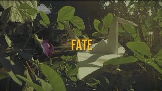 FATE - EPISODE 2: DEBATE